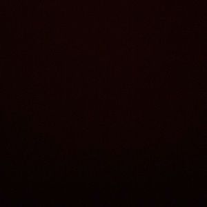 Meet your Posher, Ally